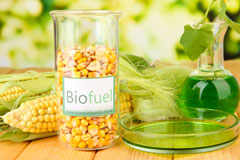 Gosforth Valley biofuel availability